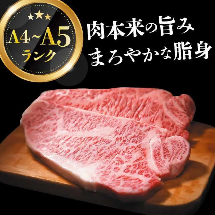 【2回定期便】A4-A5 長崎和牛 サーロインステーキ (250g×2)   和牛サーロインステーキ [DBS085] 牛肉 焼肉 ステーキ 