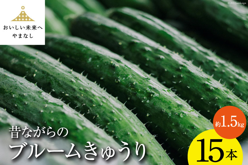 
                  【地域限定】昔ながらのブルームきゅうり 15本 ( 約1.5kg ) ／ 胡瓜 きゅうり キュウリ 夏野菜 夏 野菜 やさい 新鮮 期間限定 数量限定 しゃんと畑 山梨県 中央市 【2026年8月下旬-9月下旬発送予定】
                