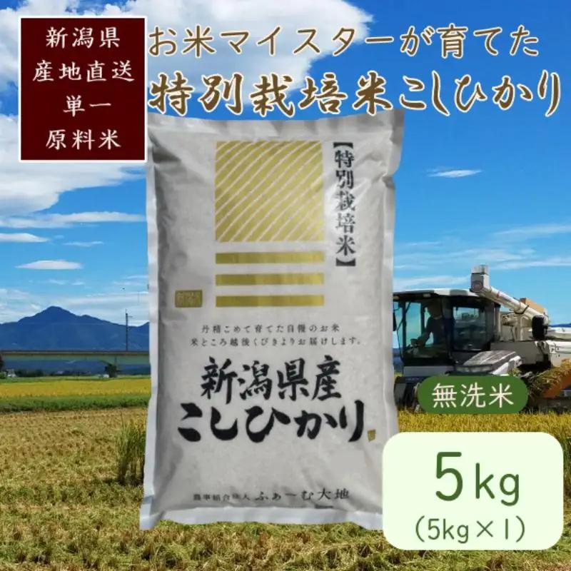 特別栽培米 コシヒカリ 上越産 無洗米5kg コシヒカリ