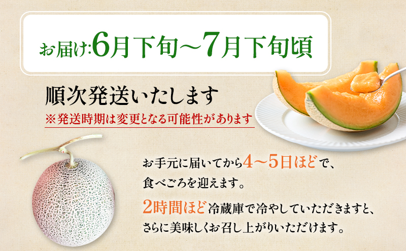 北海道 富良野産 ヒグマのおくりもの(メロン)[1玉 2kg以上/玉] メロン フルーツ 果物 新鮮 甘い 贈り物 ギフト 道産 ジューシー おやつ ふらの ブランド 夏