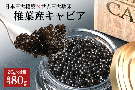 【桐箱入り】HEIKE CAVIAR 80ｇ 【宮崎県 椎葉村】 チョウザメ キャビア【世界三大珍味×日本三大秘境】