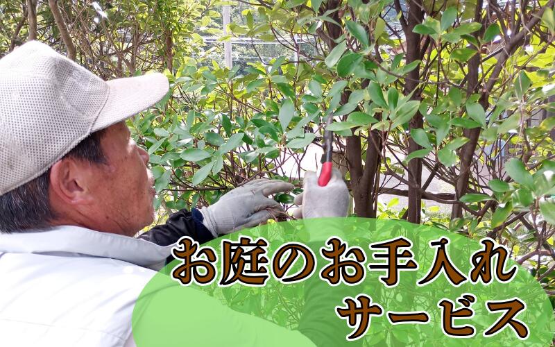 【ふるさと納税】緑風園 お庭手入れサービス