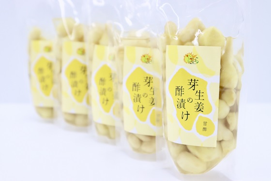 芽生姜の甘酢漬け　5パック