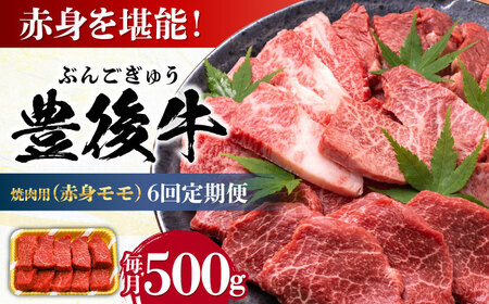 【全6回定期便】おおいた豊後牛 赤身モモ 焼肉用 500g / 焼肉 焼肉 焼肉 焼肉 焼肉 焼肉 / 日田市 / 株式会社MEAT PLUS[AREI093]