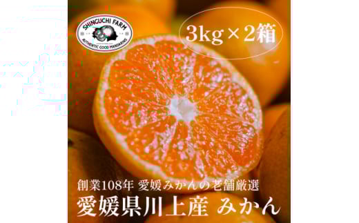 愛媛みかんの老舗厳選＜愛媛県川上産 みかん3kg×2箱＞新口農園＜C70-32＞【1536240】