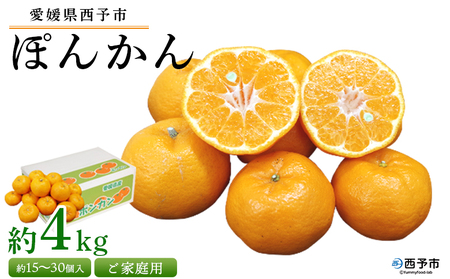 ＜愛媛県西予市産 ぽんかん ご家庭用 約4kg＞約15～30個入り 訳あり 果物 くだもの フルーツ みかん ミカン オレンジ ポンカン 柑橘 特産品 愛媛県 西予市【常温】『2026年1月上旬～3月上旬迄に順次出荷予定』UUB0004