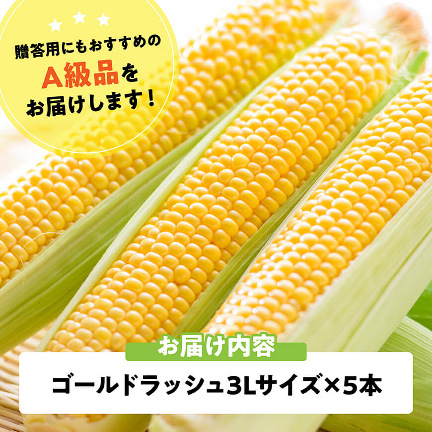 【令和8年発送】宮崎県産とうもろこし　スイートコーン「ゴールドラッシュ」3L×5本【新鮮 農家直送 トウモロコシ 産地直送 季節限定 期間限定 宮崎県産 九州産 野菜 】[C09108]
