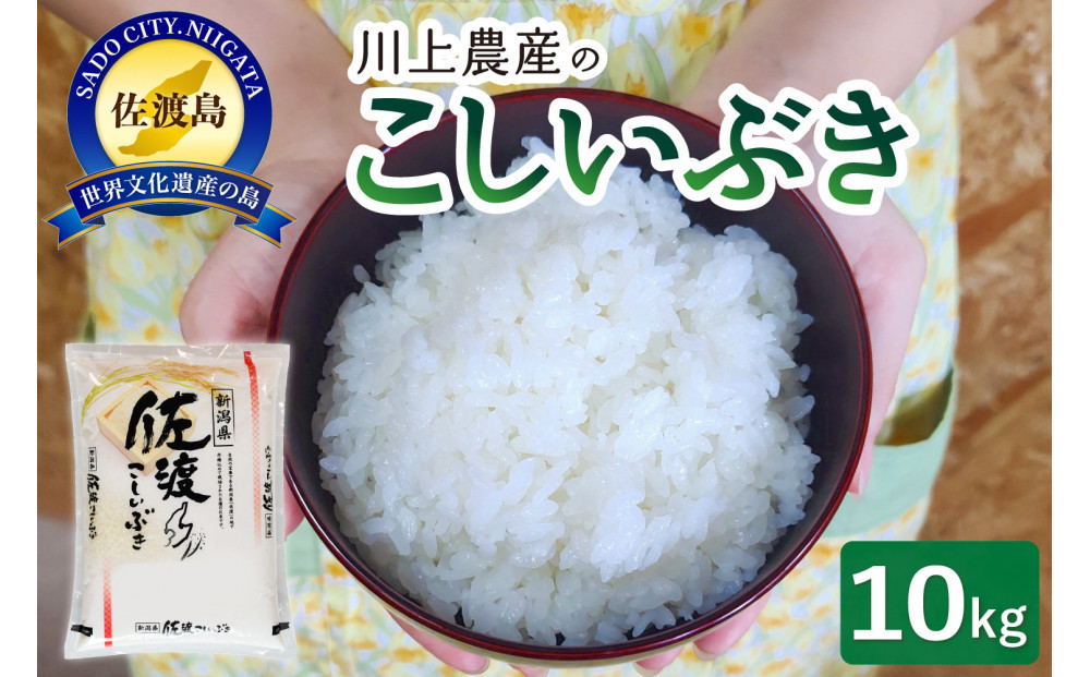 令和7年産 佐渡 川上農産のこしいぶき（10kg）