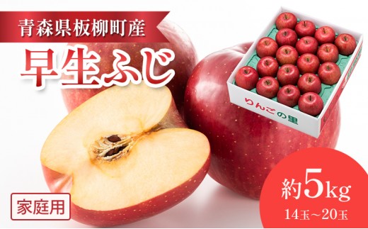 
                  【一足早くふじの味・早生ふじ】家庭用/早生ふじ/約5kg　青森県　りんご　リンゴ　林檎　フルーツ　くだもの　果物
                