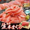 【ふるさと納税】《レビューキャンペーン》国産 生本マグロ 中トロ 約300g（2〜3柵）まぐろの王様！！【本まぐろ 鮪 ホンマグロ まぐろ マグロ 中とろ 冷蔵 刺身 海鮮 鮮魚 お取り寄せ グルメ 贈答】 [e04-a081]