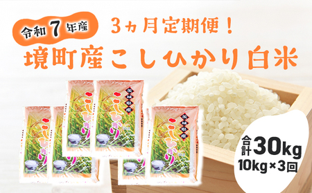 S257【3ヶ月連続定期便】令和7年産 境町のこだわり「こしひかり」 白米10kg(5kg×2袋)×3ヶ月（合計30kg）