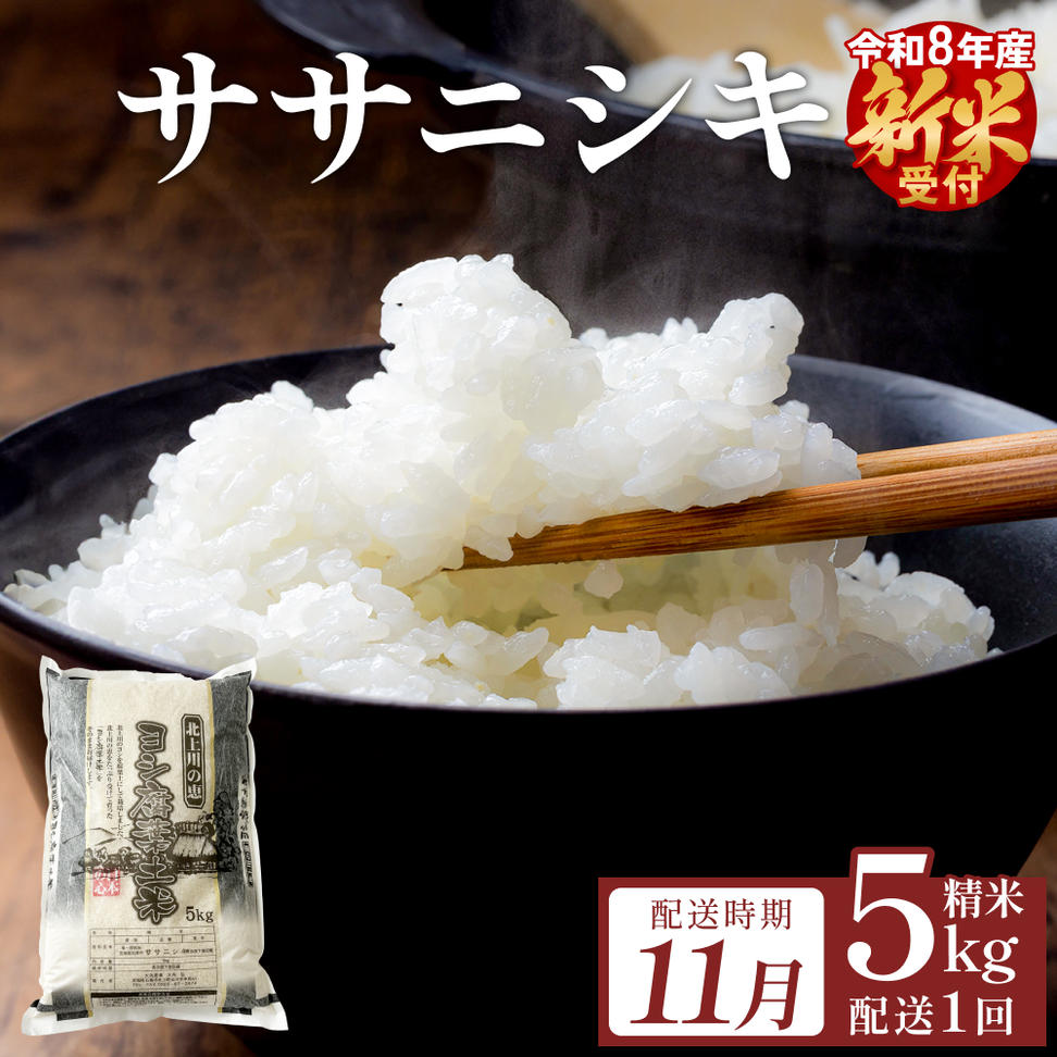 【11月配送】 ＜先行予約＞ 米 令和8年産 ササニシキ 精米 5k