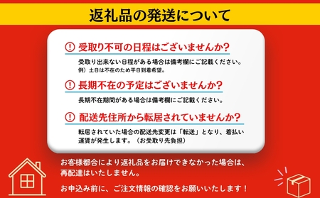 自衛隊 ブルーインパルス ベア（大）ぬいぐるみ くま ベア 航空自衛隊 松島基地 宮城県 東松島市 オンラインワンストップ 対応 自治体マイページ 東松島観光物産公社