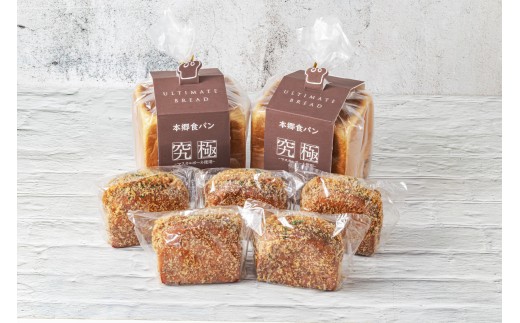 本郷食パン2個＋カレーパンの王様5個セット  KDJ007