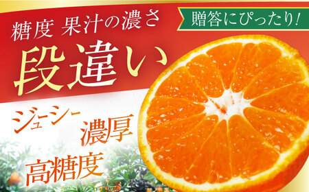 【贈答】【大玉】不知火 約4.5kg（13-15個）ー3月中旬～4月中旬頃に発送ー 長与町/彩咲果樹園 [ECM001] しらぬい 不知火 デコポン でこぽん 柑橘 かんきつ みかん ミカン 蜜柑 大