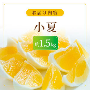 【2027年出荷分】小夏 (日向夏) 小夏 1.5kg