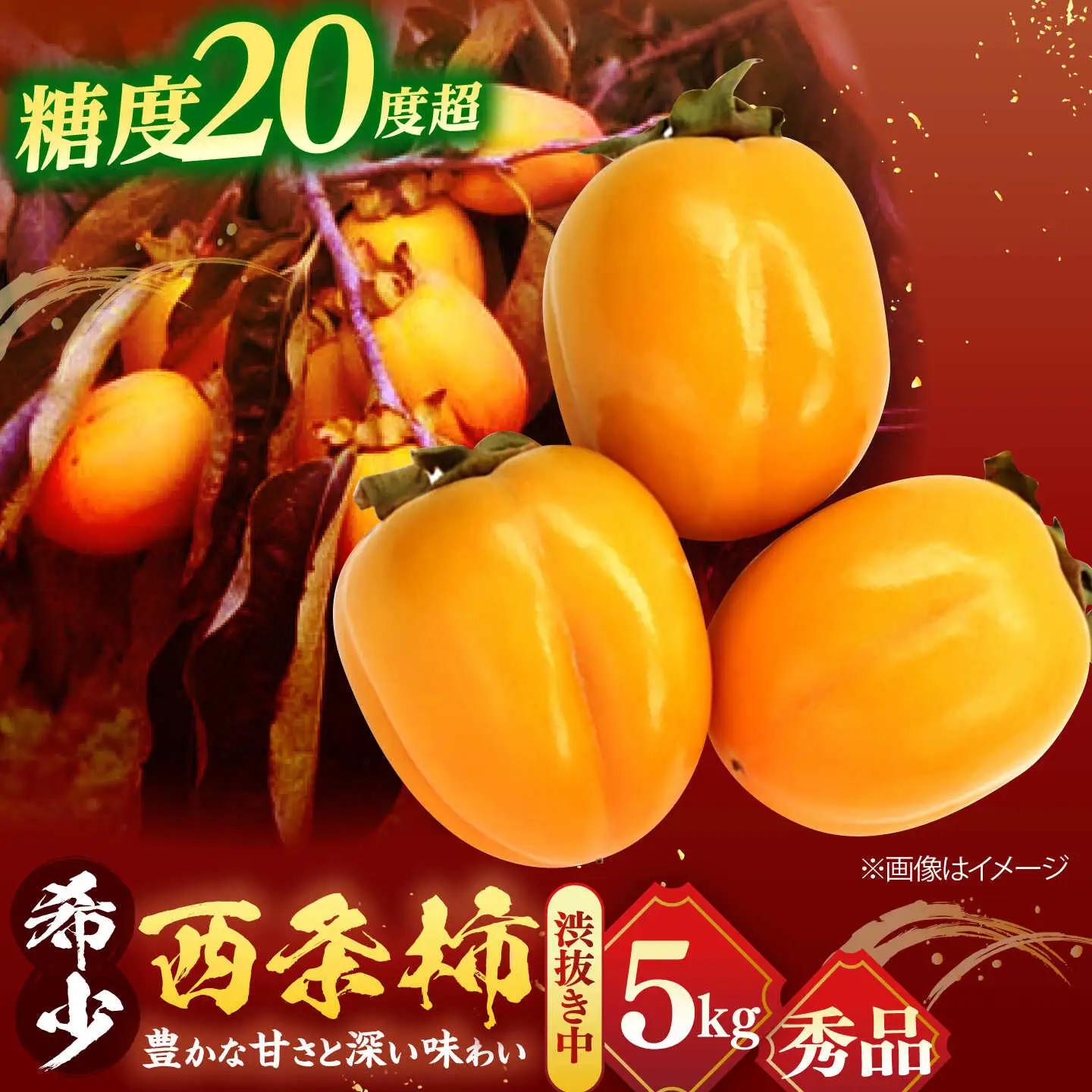 【先行予約】西条柿 （5kg）柿 果物 フルーツ [ALCM004]