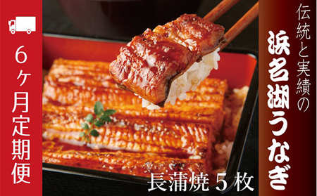 うなぎ 長蒲焼 約120g×5尾 定期便 6ヶ月 うなぎ