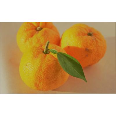 ふるさと納税 三原市 【鍋料理に】ゆずぽん酢 2本セット[007-006] |  | 02