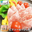 【ふるさと納税】ビアソーセージ 80g×6パック | 茨城県 つくば市 豚肉 豚 ぶた肉 ソーセージ ソフトサラミ風 ノンスモーク 1120086