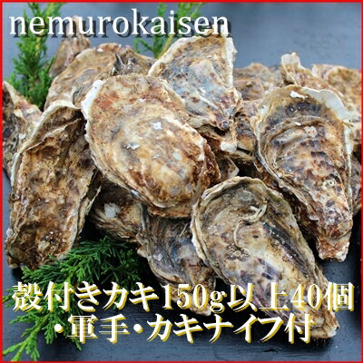 【ふるさと納税】 [北海道根室産] 殻付カキ 150g 以上 × 40 個 かき 牡蠣 から付き カラ付き お取り寄せ グルメ 海鮮 濃厚 北海道 根室市 ふるさと納税 D-57028