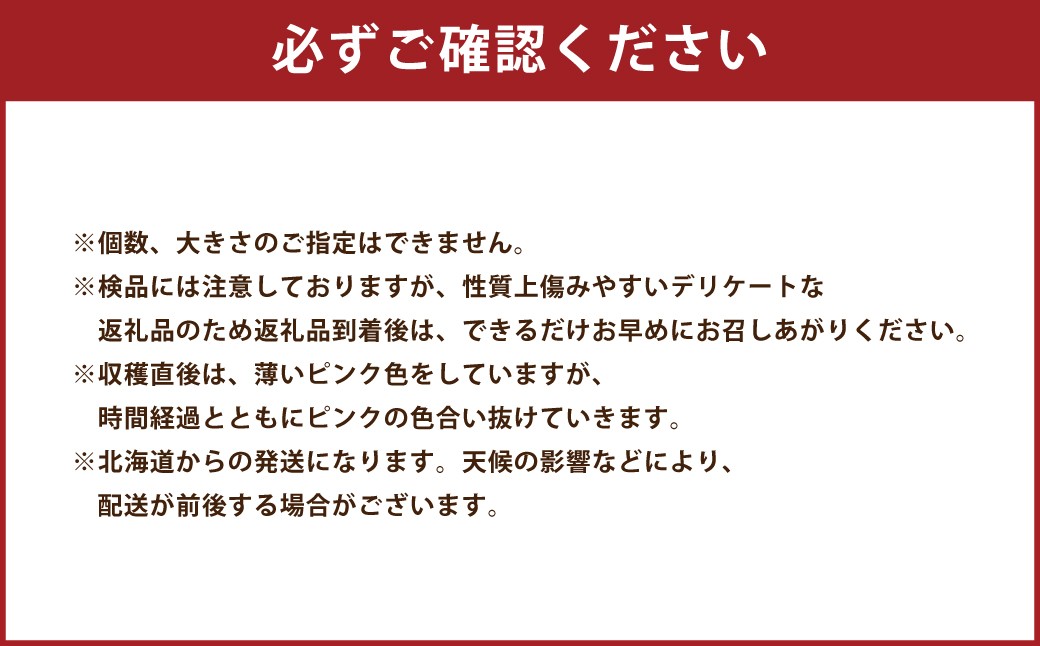 【2025年12月上旬迄順次発送予定】 北海道産 在来種 ピンクにんにく 約2kg