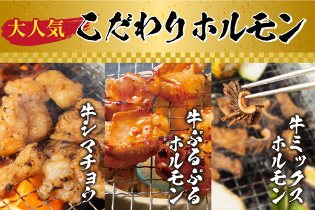 国産牛ホルモン3品 お試しセット 約500g [B-019001]