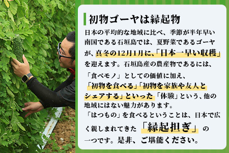 【予約受付】「最優秀賞」受賞の農家！希少品！贈答用「初物ゴーヤ」2024年12月下旬～2025年1月上旬発送 OI-1