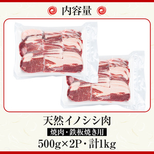 【A59003】天然イノシシ肉！焼肉・鉄板焼き用(500g×2P・計1kg) 鹿児島 国産 猪肉 いのしし肉 ジビエ ジビエ肉 ぼたん 牡丹 お取り寄せ ギフト 贈答【きらく】