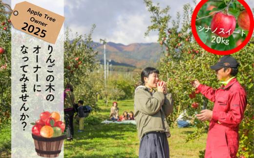 「シナノスイート」20kg限定！りんごの木のオーナー