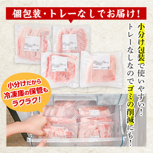 豚肉 バラエティーパック(合計4kg・4種)豚バラ しゃぶしゃぶ 鍋 とんかつ ロース 小分け 個包装 豚こま 小間切れ スライス セット 詰め合わせ 詰合せ 冷凍 食べ比べ 国産 大分県 佐伯市【B