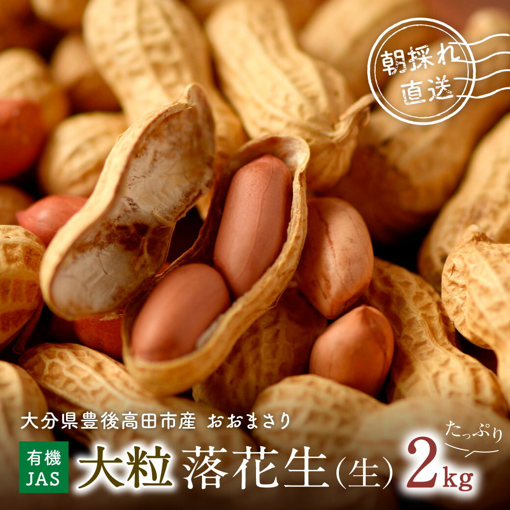 【ふるさと納税】先行予約 大粒 落花生 2kg おおまさり 有機栽培 有機JAS 国産 らっかせい 送料無料