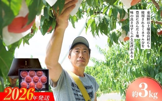 
            No.2294特選福島・東湯野のもも約3kg【2026年発送　先行予約】
          