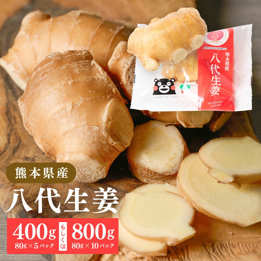 【ふるさと納税】【選べる容量】八代生姜 400g～800g しょうが ショウガ ガリ ジンジャー 野菜 食品 薬味 生姜焼き しょうが焼き 温活 冷え性 対策 旬 熊本県 八代市 東陽町 産地直送 国産 送料無料