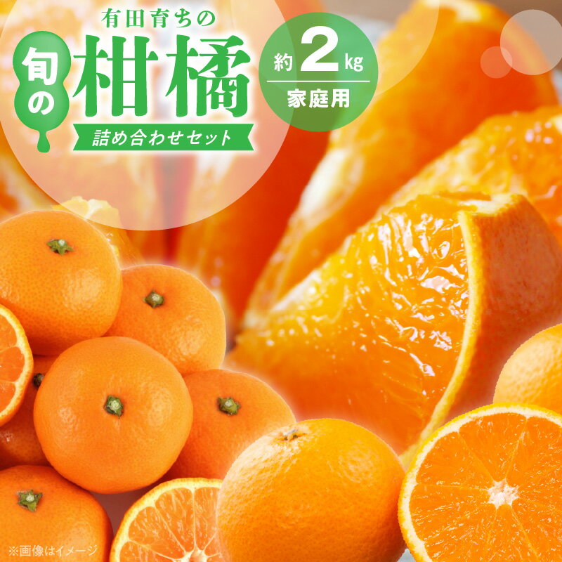 【ふるさと納税】【限定】 【2026年先行予約】 旬の美味 みかん名産地 和歌山 有田 有田育ちの ご家庭用 旬の柑橘 詰め合わせ セット 2kg 訳あり