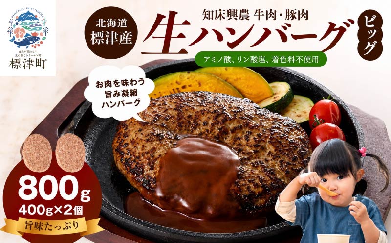 北海道産 生ハンバーグ ビッグ 800g ( 400g × 2個 セット ) 冷凍 手作り ハンバーグ 国産 保存料不使用 牛肉 豚肉 ギフト お弁当 アミノ酸不使用 リン酸塩不使用 着色料不使用 牛