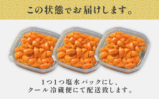 北海道 登別近海産　無添加　極上エゾバフンウニ塩水パック300g ※2025年6月よりお届け [mh-0262]
