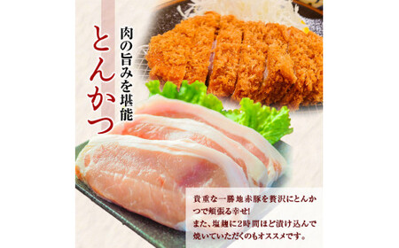 一勝地赤豚 とんかつ用 10枚（約1.5kg）FKP9-525