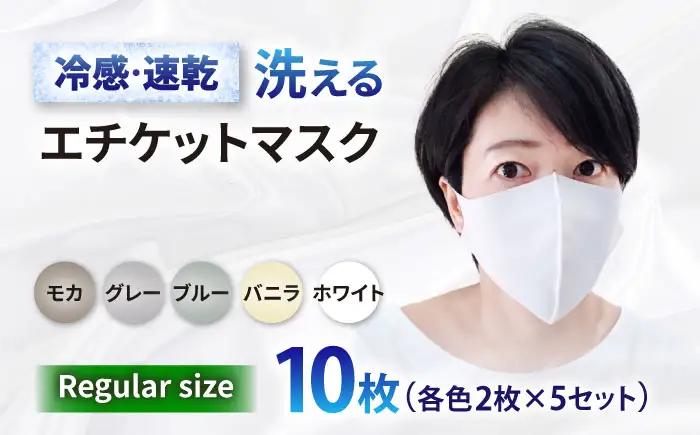 マスク エチケットマスク レギュラーサイズ 10枚 [ANEA008] マスク