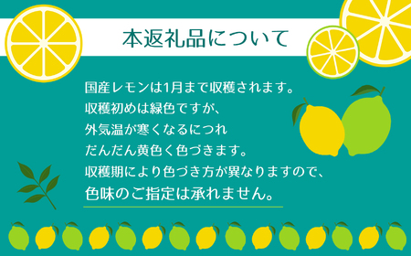 玉名市産 レモン 2kg 【 熊本玉名・みかん専門店より 】 | フルーツ 果物 くだもの 柑橘 れもん 玉名 たまな 熊本県 玉名市