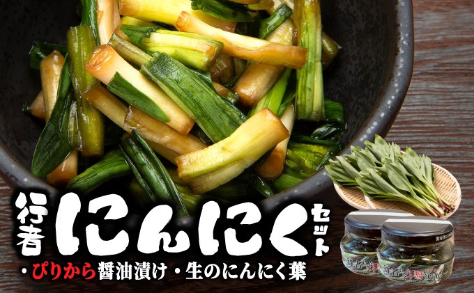 
            行者にんにくセット（生の行者にんにく葉・行者にんにくぴりから醤油漬けのセット）
          