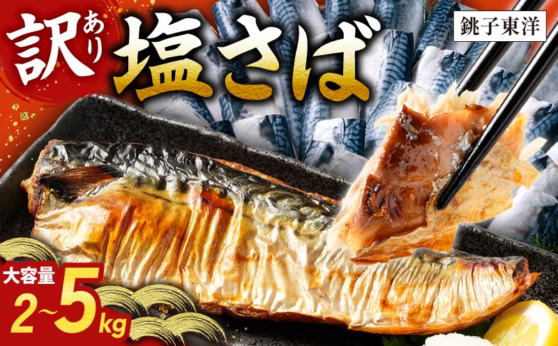 
                  訳あり 塩さば フィーレ 選べる容量 約 2kg ～ 約 5kg 鯖 さば サバ saba 塩鯖 塩サバ フィレ フィーレ 魚 魚貝 魚介 魚介類 海鮮 人気 冷凍 大容量 冷凍食品 おつまみ 酒 さけ おかず 惣菜 弁当 不揃い 規格外 訳アリ 訳有 傷 グルメ お取り寄せ 贈答 贈物 プレゼント 贈り物 長期保存 ギフト 小分け ふるさと納税 ふるさと納税鯖 送料無料 千葉県 銚子市 銚子東洋
                