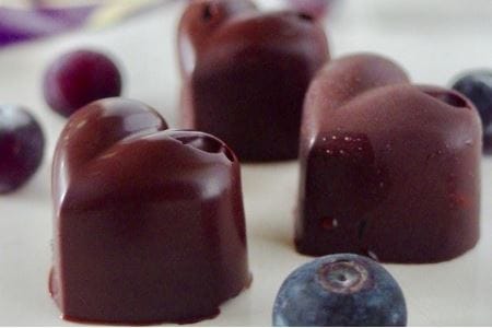 白砂糖不使用オーガニックチョコ100％使用ミニチョコセット＜15個入り＞（21-42）