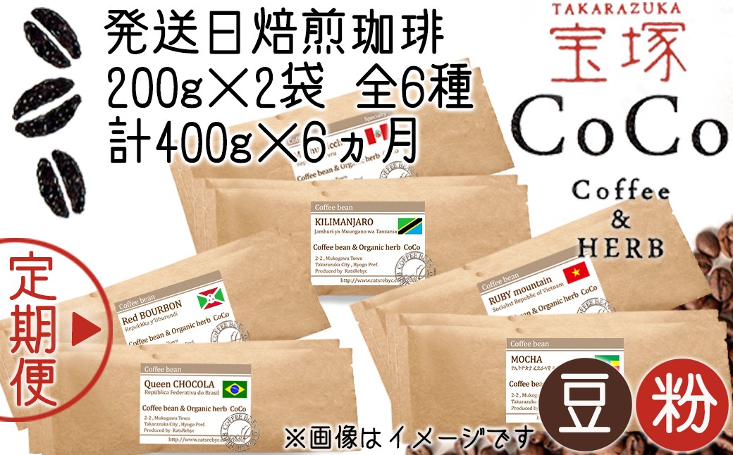 
                  【宝塚】6ヶ月の定期便(発送日自家焙煎珈琲豆・全6種 計2400g)
                
