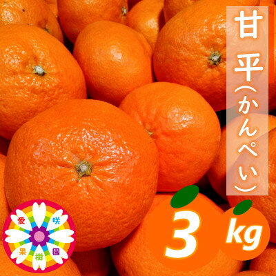 【ふるさと納税】愛咲果樹園 「 甘平 」約3kg【D71-28】【1616841】