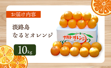 淡路島なるとオレンジ 10kg 兵庫県 洲本市 淡路島