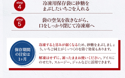 福岡県産 あまおう 500g 送料無料 いちご 果物 フルーツ ギフト 季節限定 スイーツ ケーキ ブランド 先行予約 2025年2月より順次発送 TY052-1