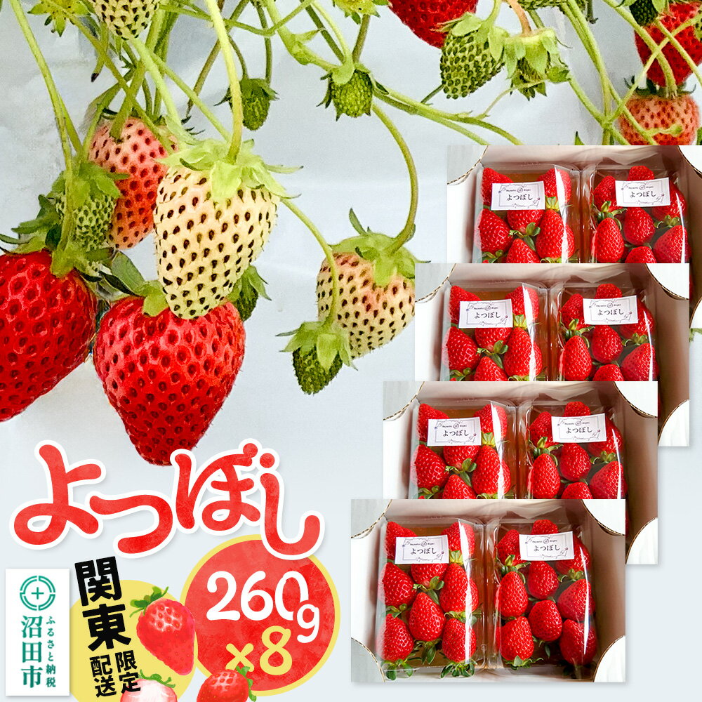 【ふるさと納税】《12月上旬〜3月下旬発送》関東限定配送 イチゴ よつぼし 約260gパック×8