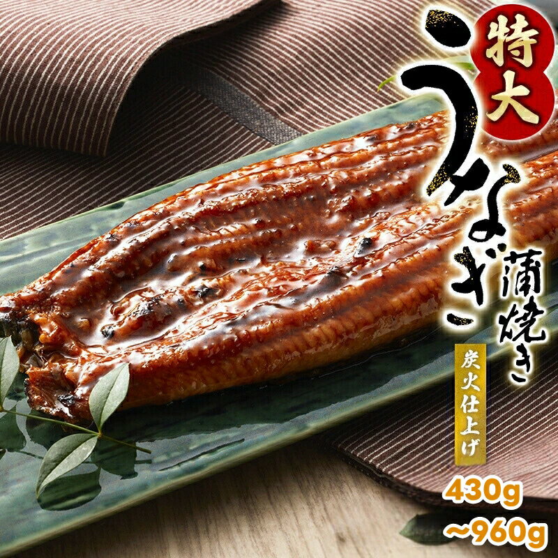 【ふるさと納税】 1尾約215g～240gのビッグサイズ うなぎ蒲焼 （タレ・山椒付き） 【配送月が選べる】 / 特大サイズ セット 蒲焼 鰻 うなぎ 炭火焼き 土用の丑 ※離島配送不可 //fish
