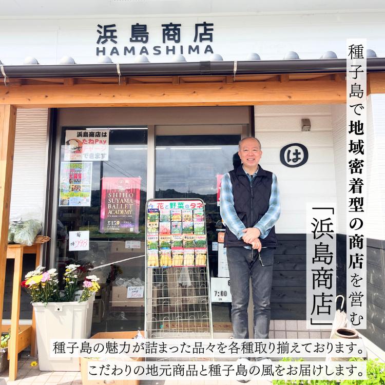 【 先行予約 】種子島 コシヒカリ 超 早場 米 3kg　NFN669【250pt】 //  米 コシヒカリ こしひかり 早場米 超早場米 令和8年産米